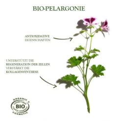 Sanoflore Creme Merveilleuse 40 Ml -Hochwertiger Kosmetikladen 1364987 Sanoflore Creme merveilleuse 40 ml.67820ba2