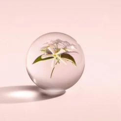 MOLTON BROWN Jasmine & Sun Rose Bath & Shower Gel 300 Ml -Hochwertiger Kosmetikladen 1394029 MOLTON BROWN Jasmine Sun Rose Bath Shower Gel 300 ml.23ee2910