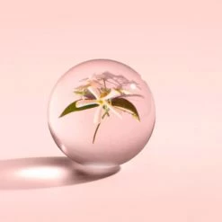 MOLTON BROWN Jasmine & Sun Rose Body Lotion 300 Ml -Hochwertiger Kosmetikladen 1394037 MOLTON BROWN Jasmine Sun Rose Body Lotion 300 ml.8e0f97f6