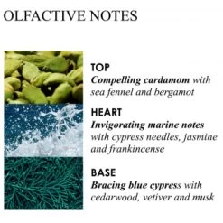 MOLTON BROWN Coastal Cypress & Sea Fennel Bath & Shower Gel Refill 400 Ml 6 MOLTON BROWN Coastal Cypress & Sea Fennel Bath & Shower Gel Refill 400 Ml -Hochwertiger Kosmetikladen 1406426 MOLTON BROWN Coastal Cypress Sea Fennel Bath Shower Gel Refill 400 ml.a484fd0d