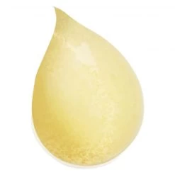 Sisley Paris Gel Nettoyant Gommant 100 Ml 8 Sisley Paris Gel Nettoyant Gommant 100 Ml -Hochwertiger Kosmetikladen 1649272 Sisley Paris Gel Nettoyant Gommant 100 ml.5983e8f1