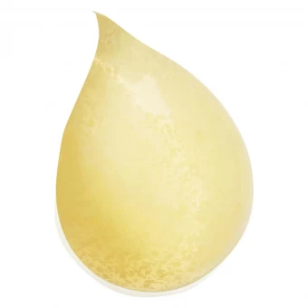 Sisley Paris Gel Nettoyant Gommant 100 Ml 5 Sisley Paris Gel Nettoyant Gommant 100 Ml – Bild 3